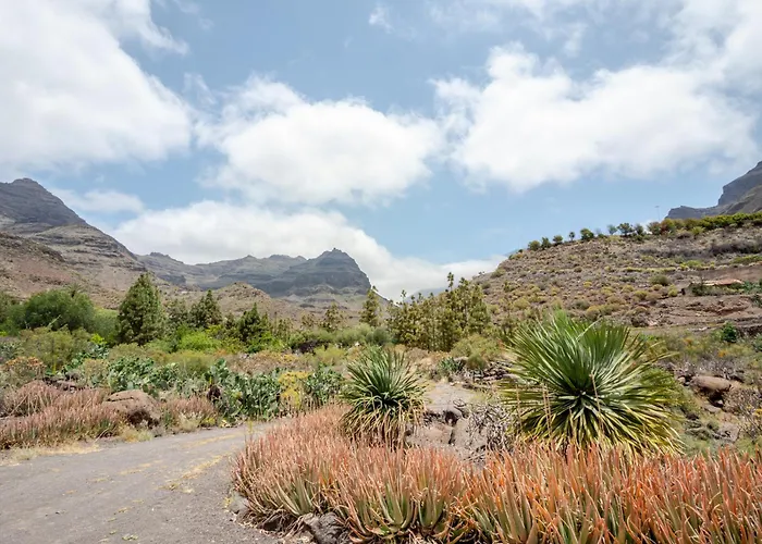 Lengua De Lava By Rivero